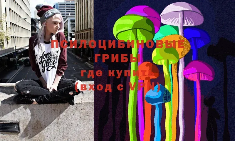 Псилоцибиновые грибы Cubensis  Коломна 